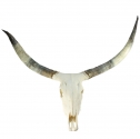 natural shoe horn